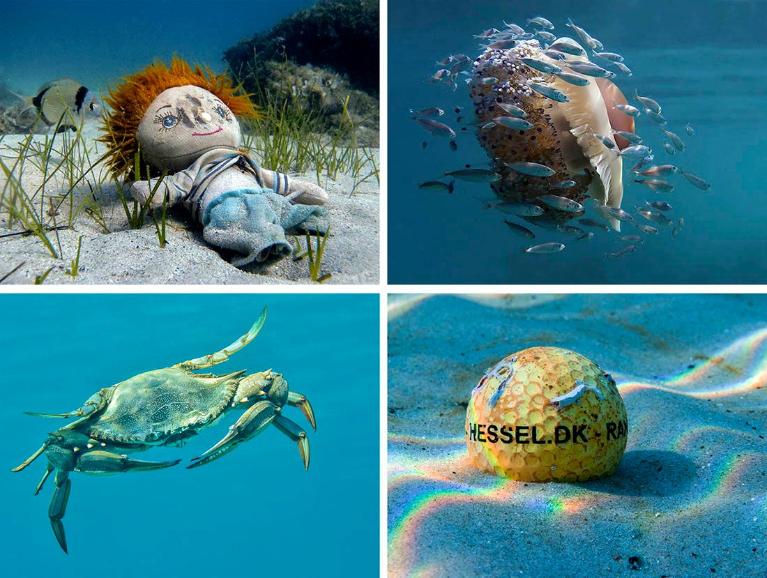 MAYDAY MAYDAY MEDULIN Podmorske fotografije u sklopu projekta “Plemeniti cilj za Medulinski zaljev”