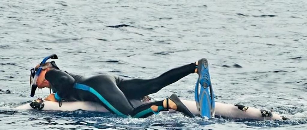 VIDEO Pogledajte kako je grbavi kit spasio ženu od napada morskog psa