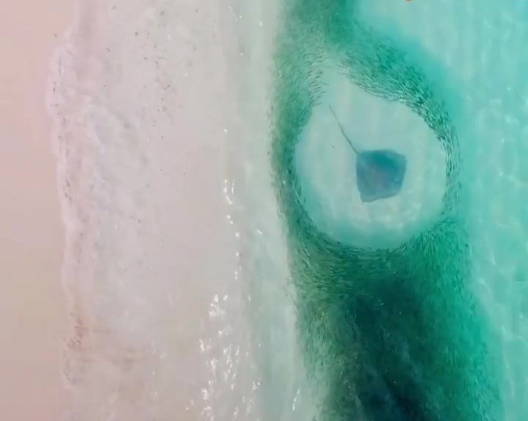 VIDEO Morska umjetnost na djelu – Prizori koji će vas odvesti daleko od kiše i sivila