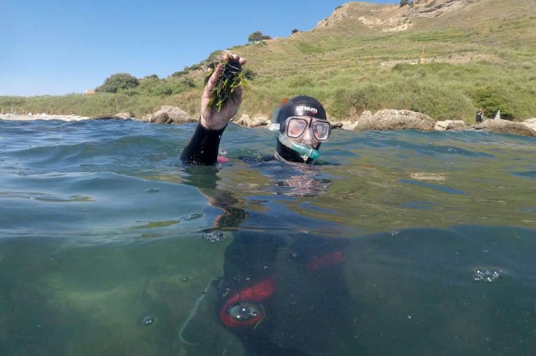 VIDEO Albanci uz pomoć algi oživljavaju podmorje južnog Jadrana
