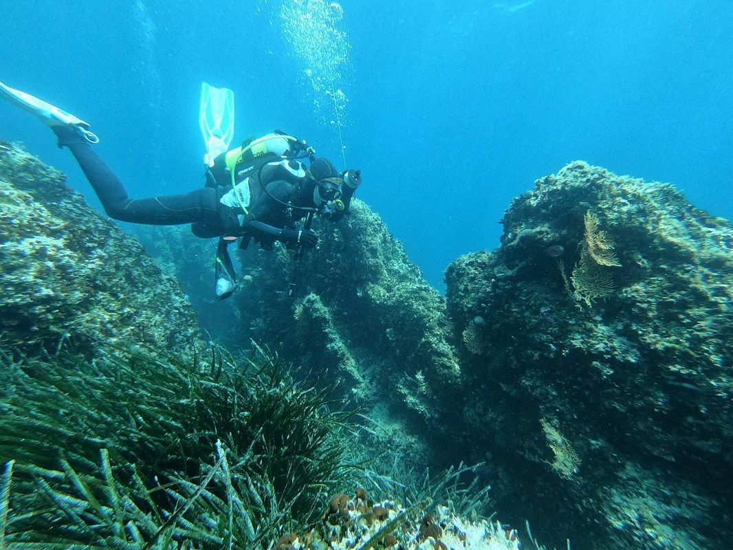U potrazi za sklatom kartirali morska staništa otoka Molata