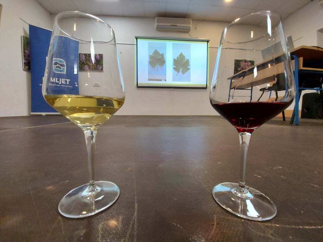 Na Mljetu održano treće edukativno kušanje vina, likera i destilata