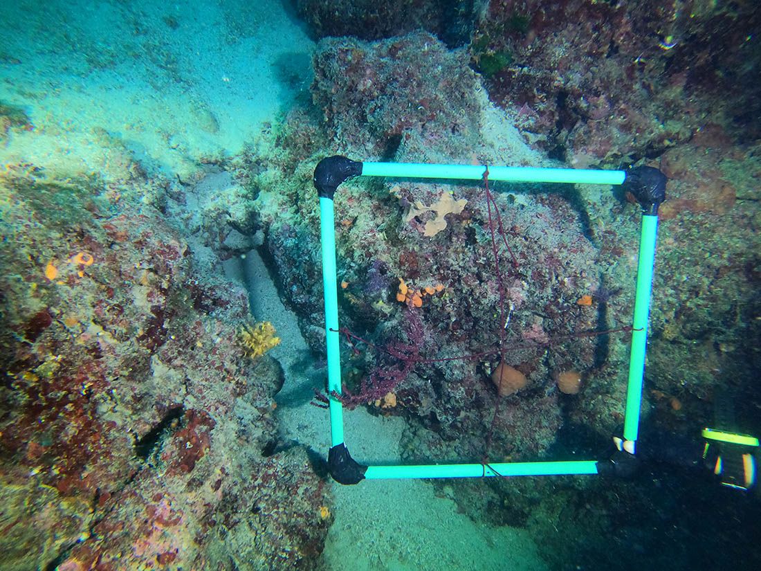 POSTAVLJANJE DATALOGERA Upozorenje roniocima na instrumente na Maunu!