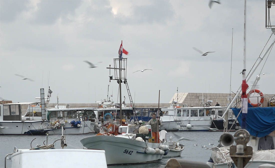 ODRŽIVO RIBARSTVO U KOMIŽI “Djeca Neptuna” čuvaju bioraznolikost viškog arhipelaga