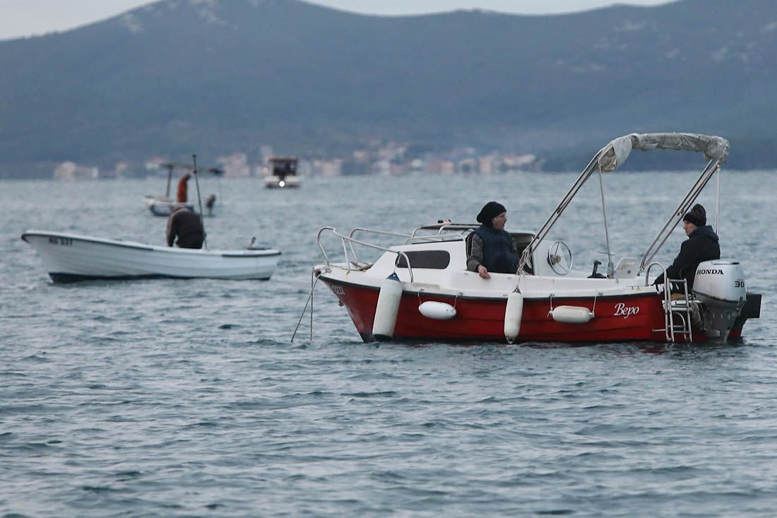 FOTO U Bibinjama održano natjecanje u lignjolovu