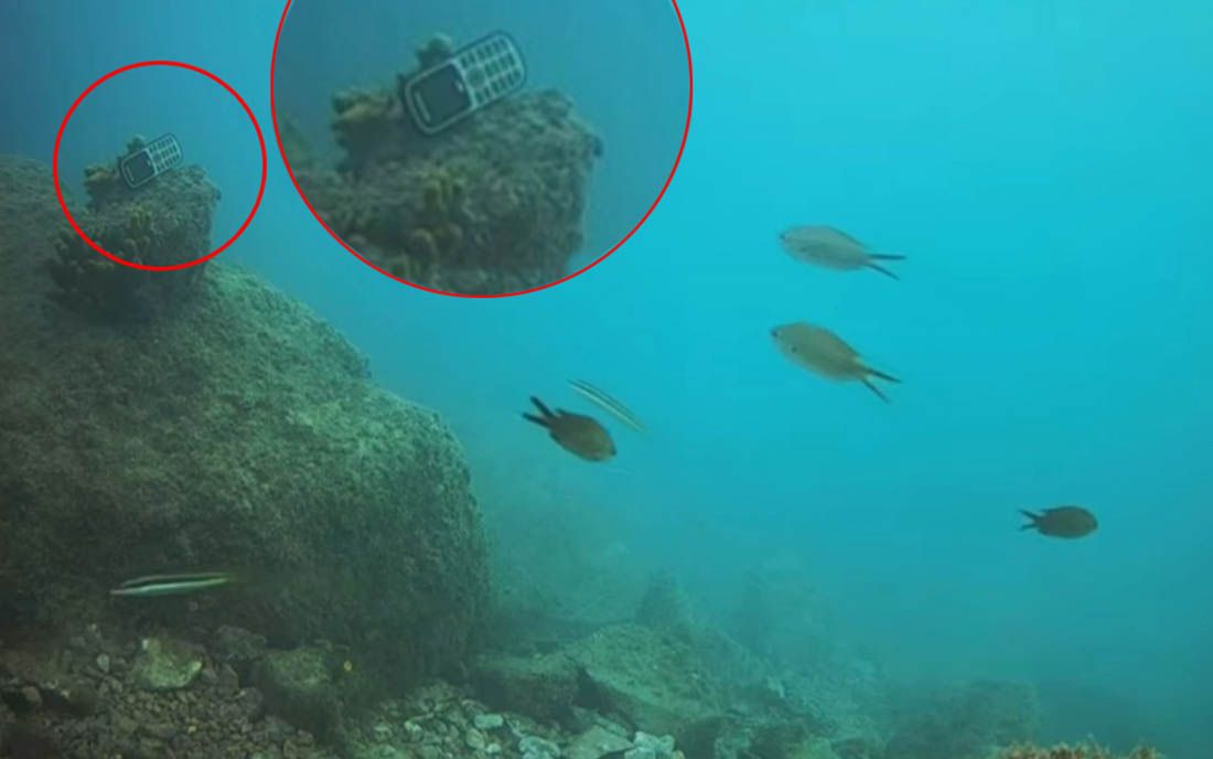 VIDEO Riješen misterij mobitela s dna mora kod Podgore