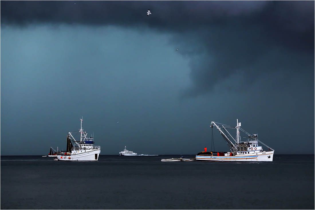 EU donosi hitne mjere za oporavak ribarskog sektora zbog posljedica rata u Ukrajini