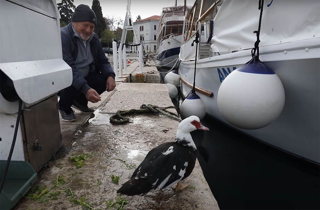 Neobičan stanovnik pulske rive