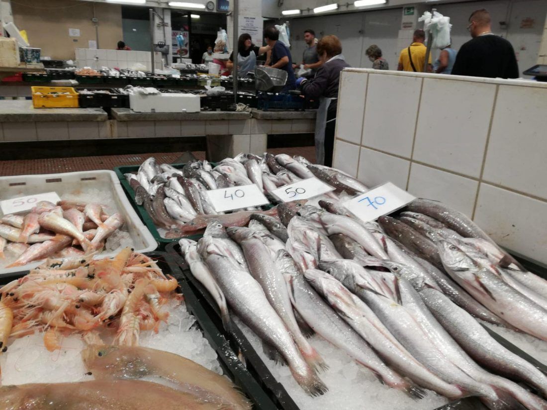 Završeni radovi na uređenju zadarske ribarnice