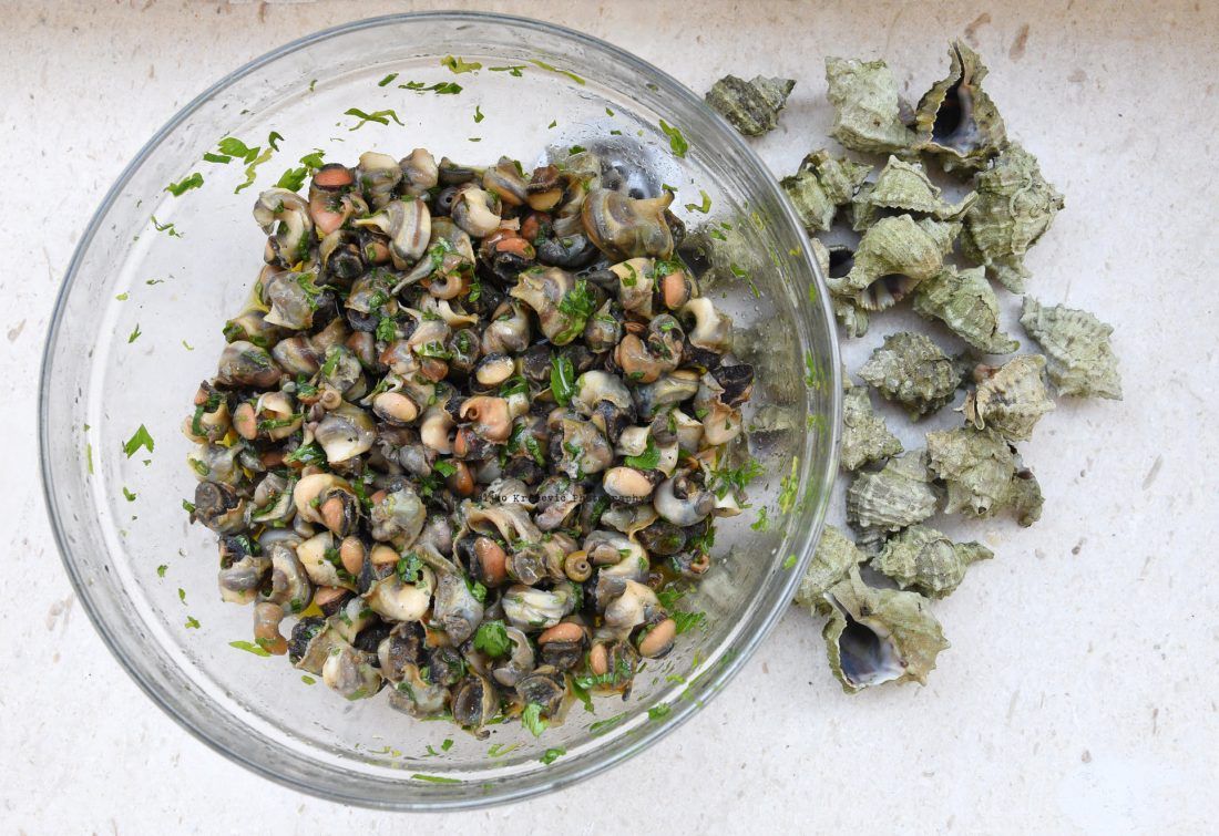 ZEMLJA GURMANIJA Vrpli ili vol(j)ci