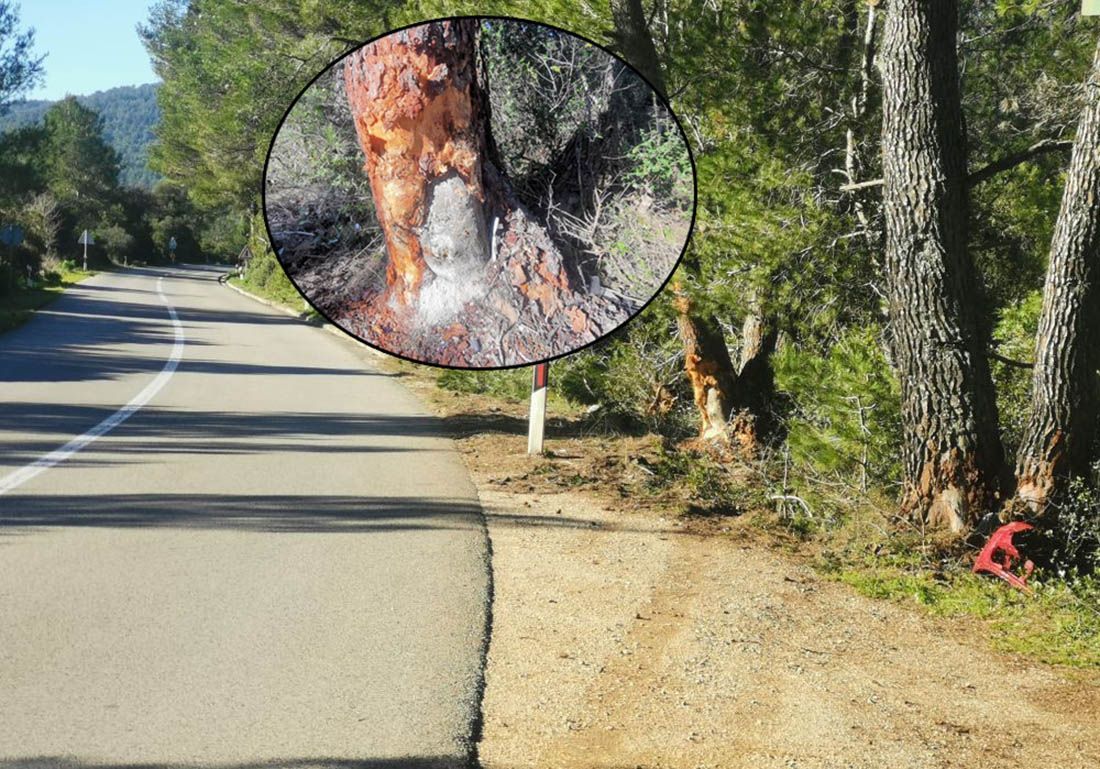 Detalji jezive nesreće na Korčuli: Ni jedan od trojice mladića nije bio vezan, brzina je bila stravična!