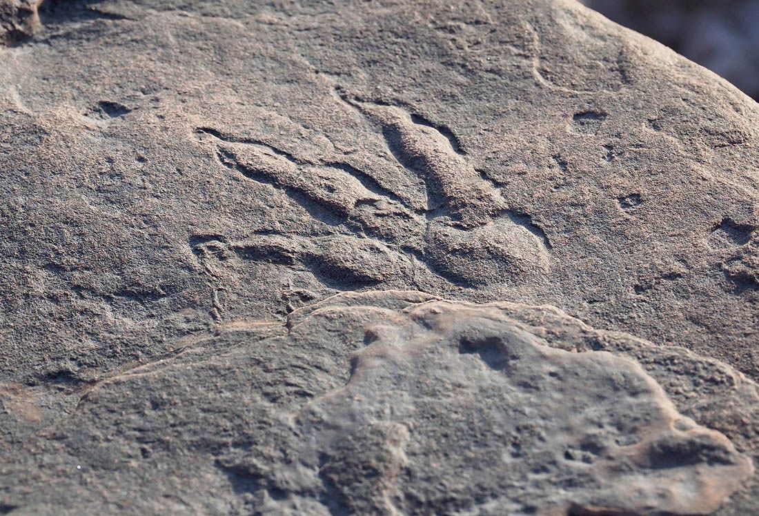 Na plaži u Walesu otkriveni tragovi prethodnika dinosaura