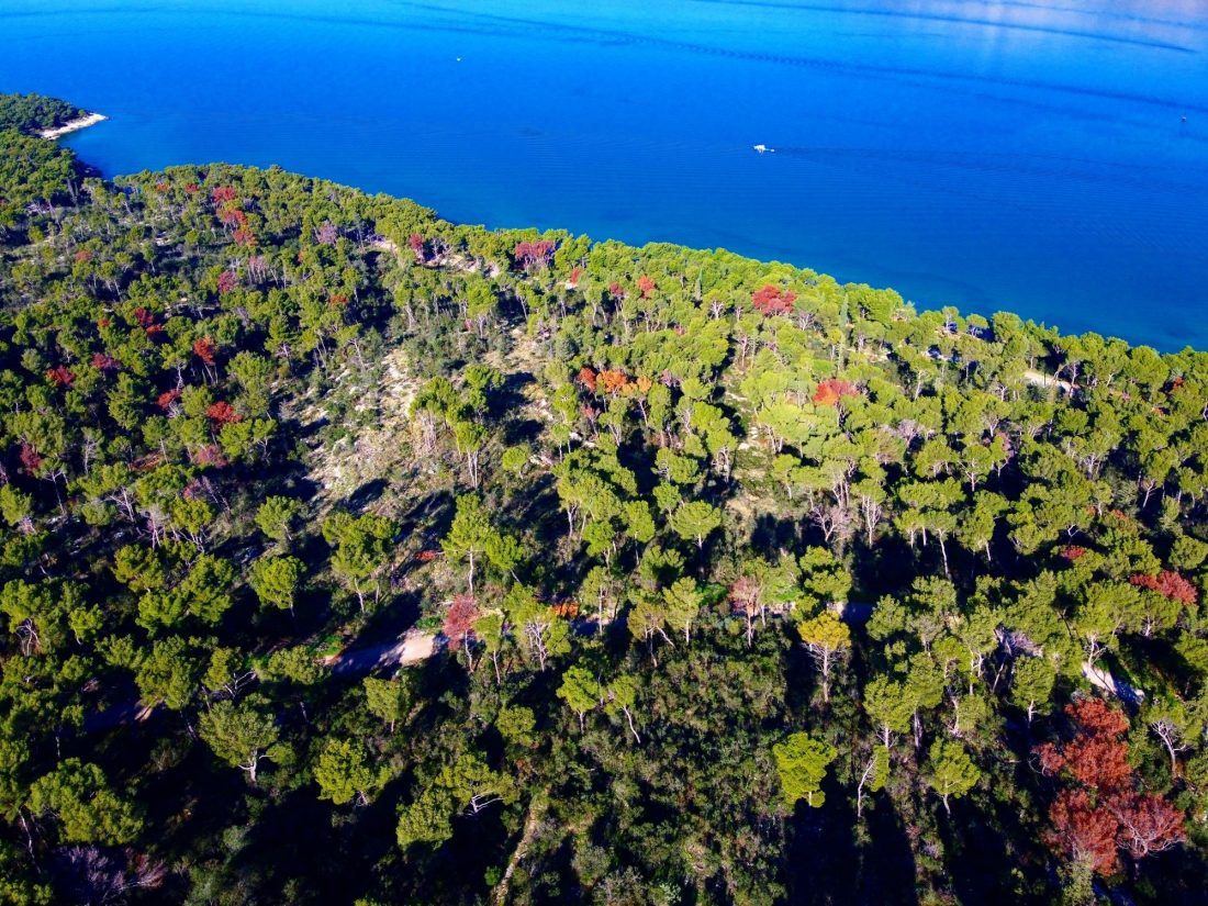 NEMA KAZNENE ODGOVORNOSTI Splitski DORH odbacio prijavu za slučaj Marjan