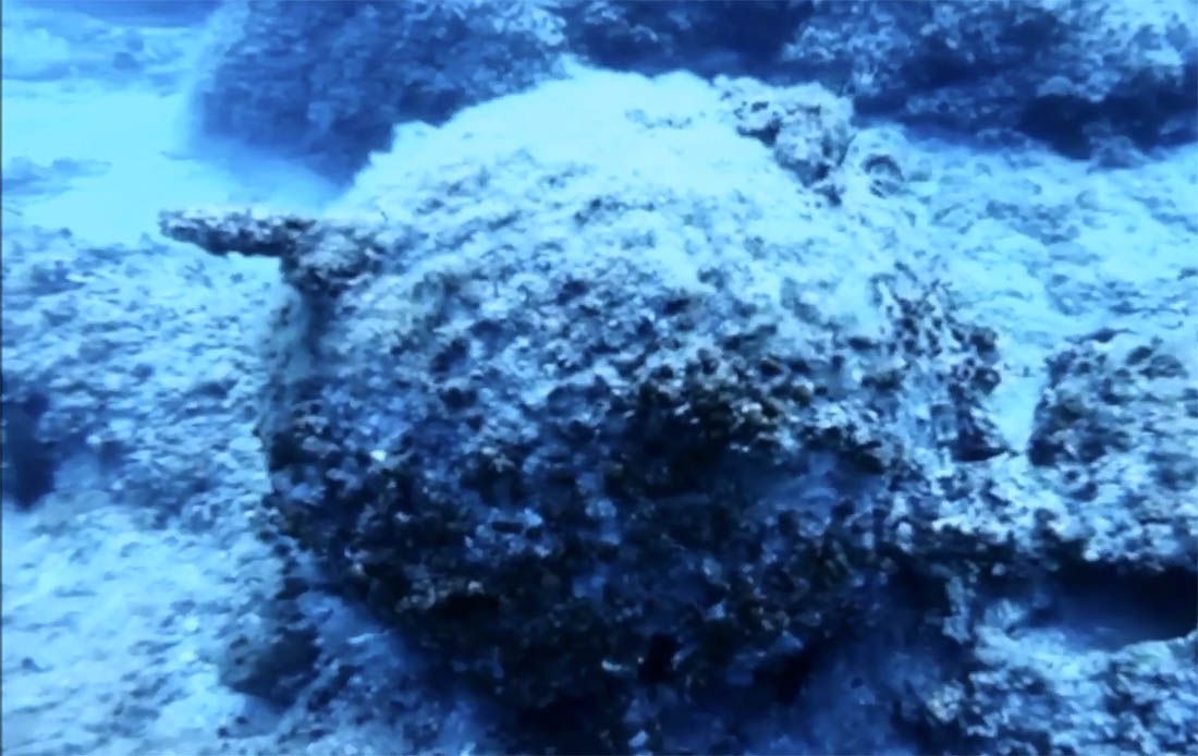 VIDEO Podmorski istraživač pronašao golemu minu u pličini otoka Suska