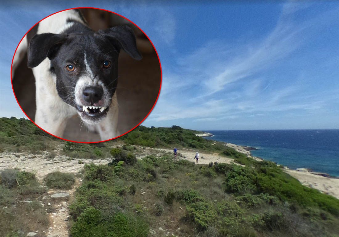 Na rtu Kamenjak tri psa bez nadzora skočila na ženu i ozlijedila je