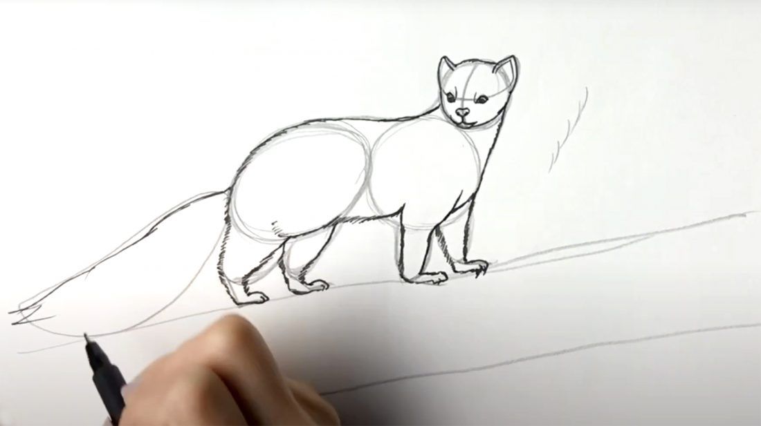 CRTEŽ OD 70 TISUĆA KUNA Hrvatska narodna banka ponavlja natječaj za rješenje hrvatske strane eurokovanice