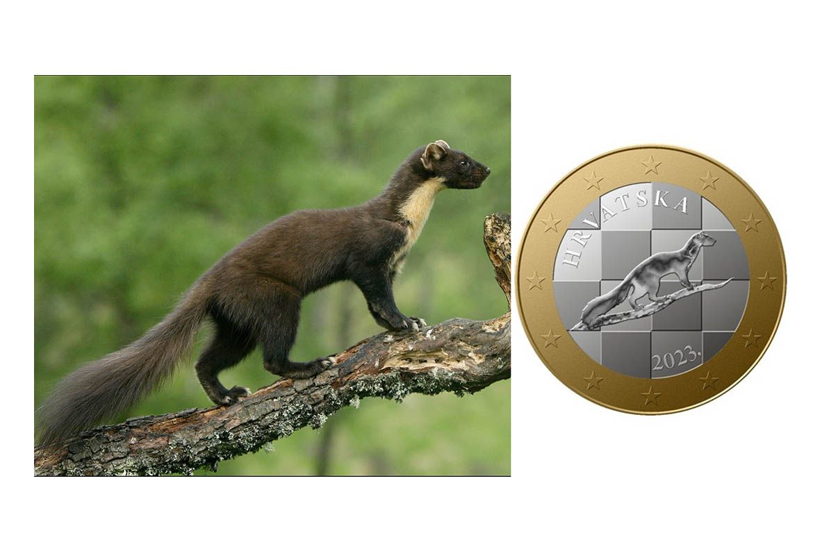 Hrvati raspravljaju o kuni na euru – Desno je kovanica, a lijevo fotografija s interneta