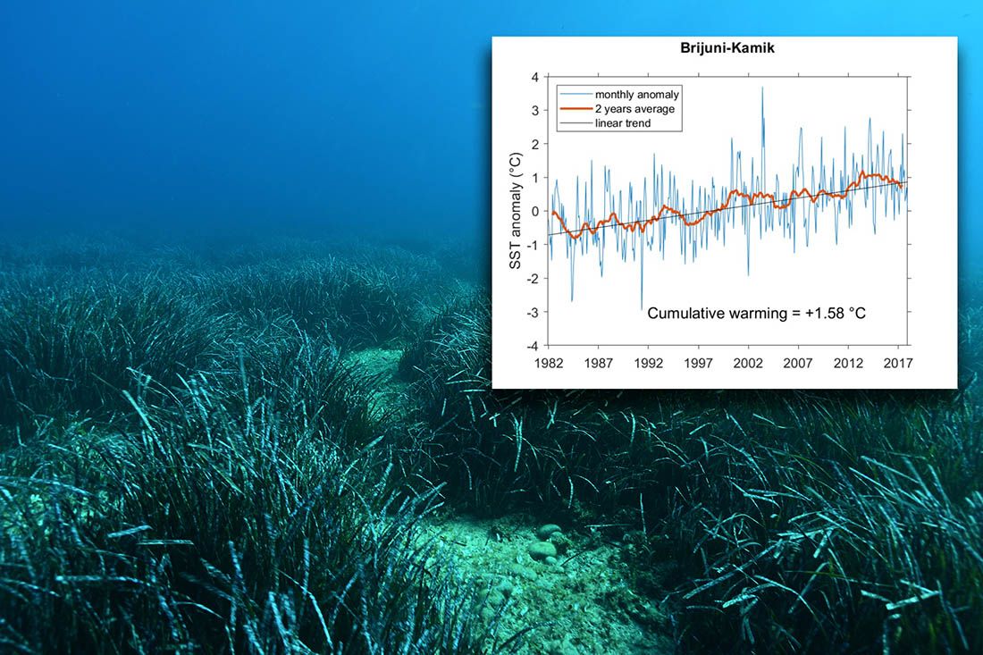 Nacionalni park Brijuni u borbi s klimatskim promjenama