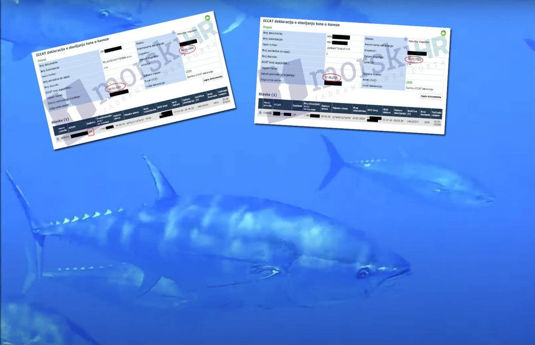 Gotovinin odvjetnik: “Nemam saznanja o opomeni EK” – Ribarski inspektor: “Blokirali su mi ulaz u sustav Ministarstva”