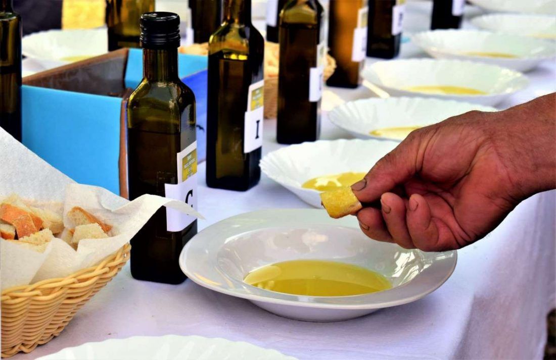 Otvorene prijave za 9. Dane maslinovog ulja u Ugljanu