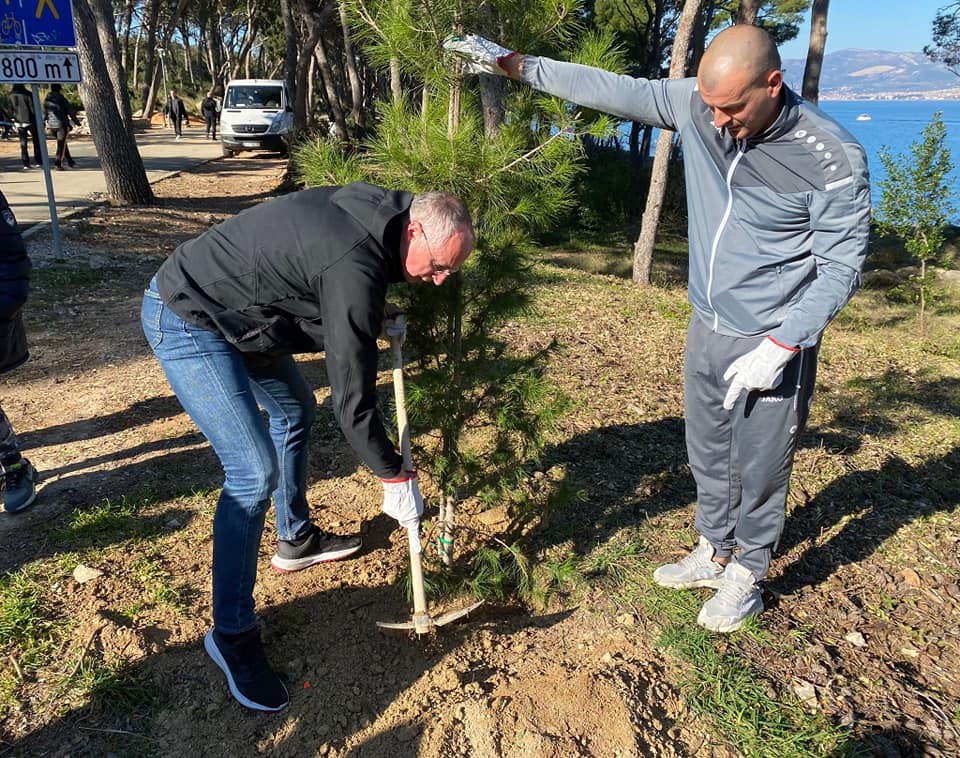 Na Marjanu posađeno prvo stablo nakon više od 30 godina