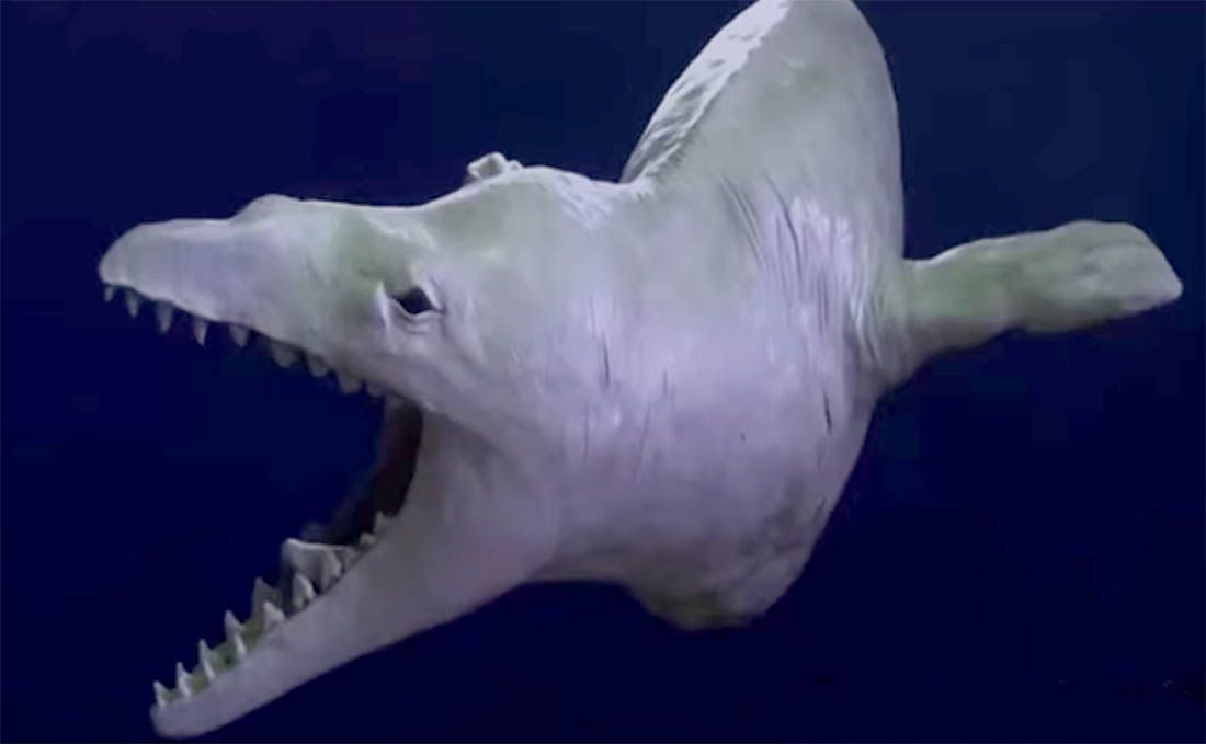 Znanstvenici pronašli lubanju strašnog grabežljivca iz pretpovijesnog oceana
