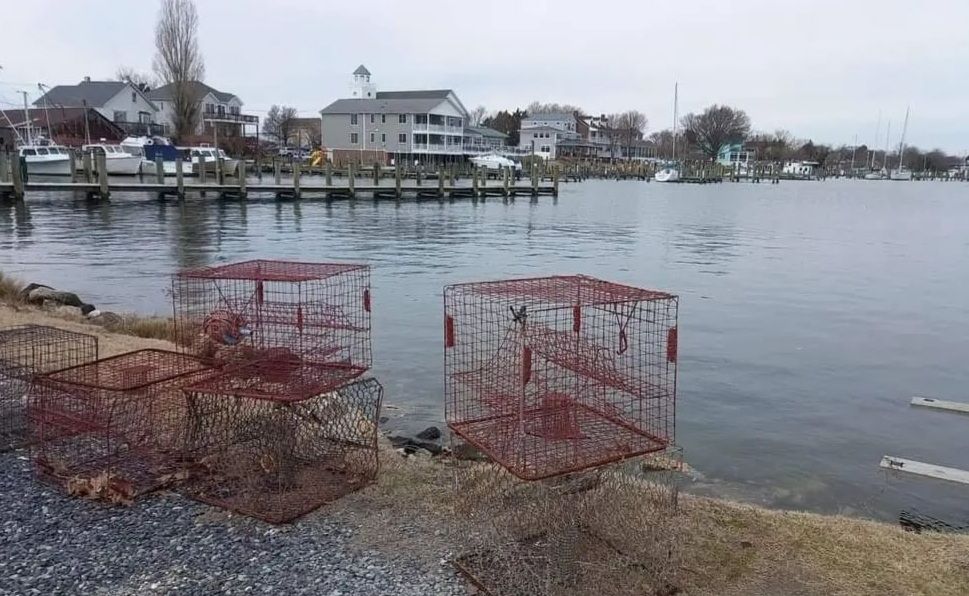 Kako primijeniti pozitivna iskustva ribara s istočne obale SAD-a na Jadran?