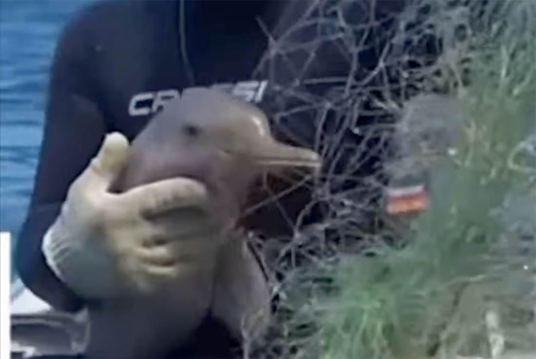 Naš suradnik u dvije godine more očistio od 150 tona ribarskih mreža