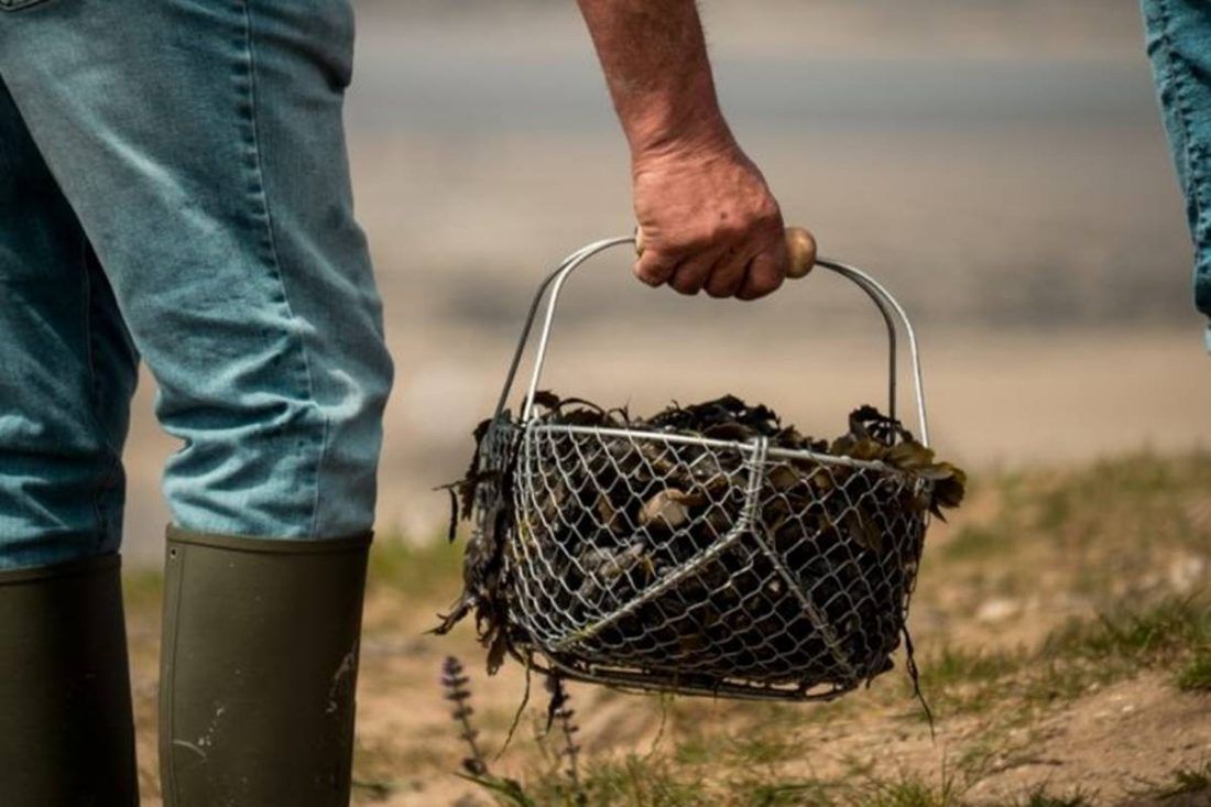 U tijeku uspostava Laboratorija za proučavanje kamenica na Bistrini