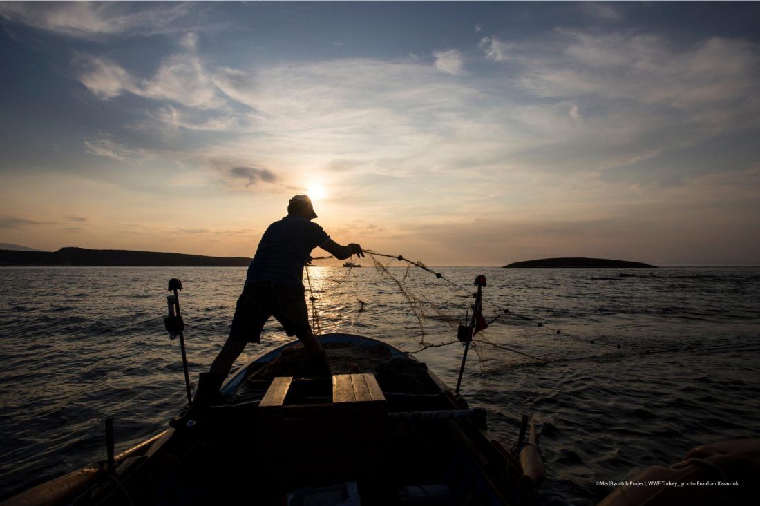 Pogledajte virtualnu izložbu fotografija o prilovu na Mediteranu