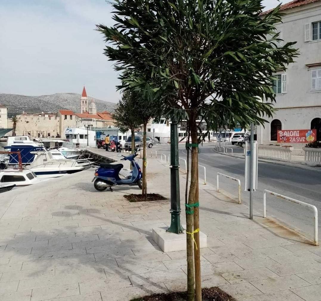 ZBOGOM PAMETI Grad posadio drveće, netko ih uporno uništava