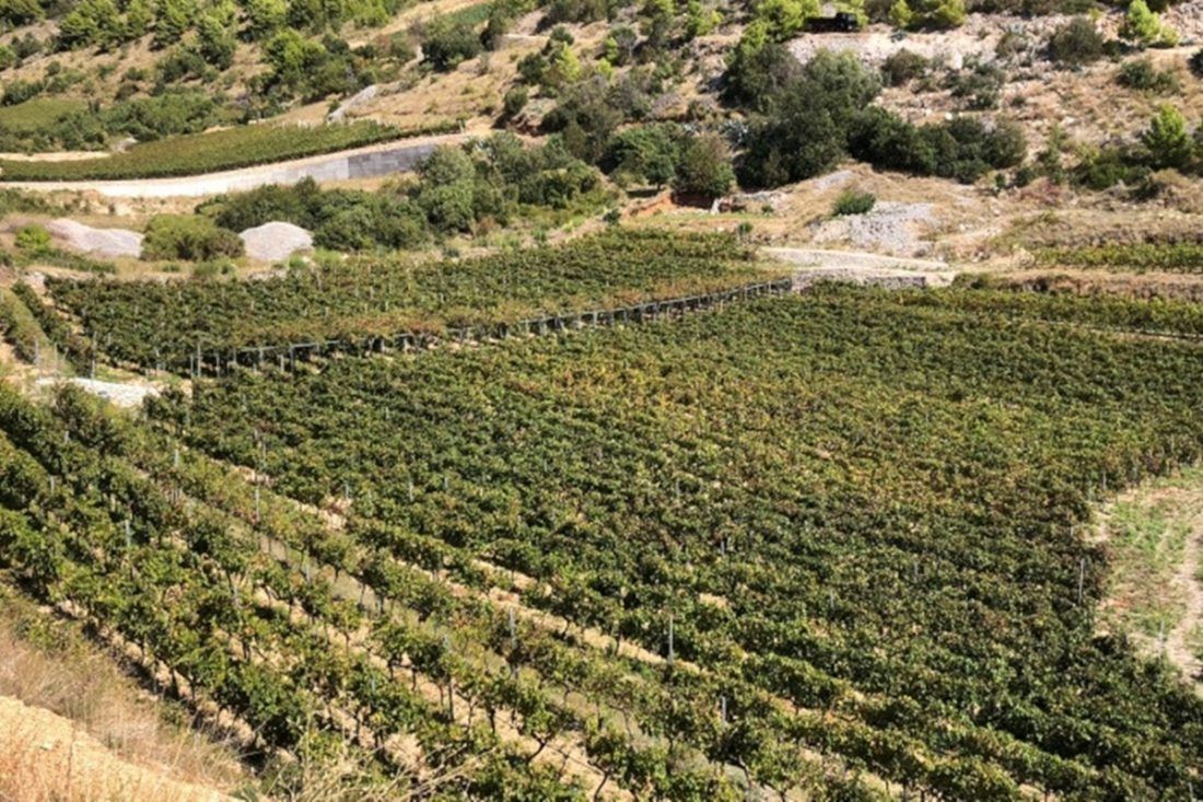 Eko ceritificiranje za poljoprivrednike, ribare i školjkare s Pelješca