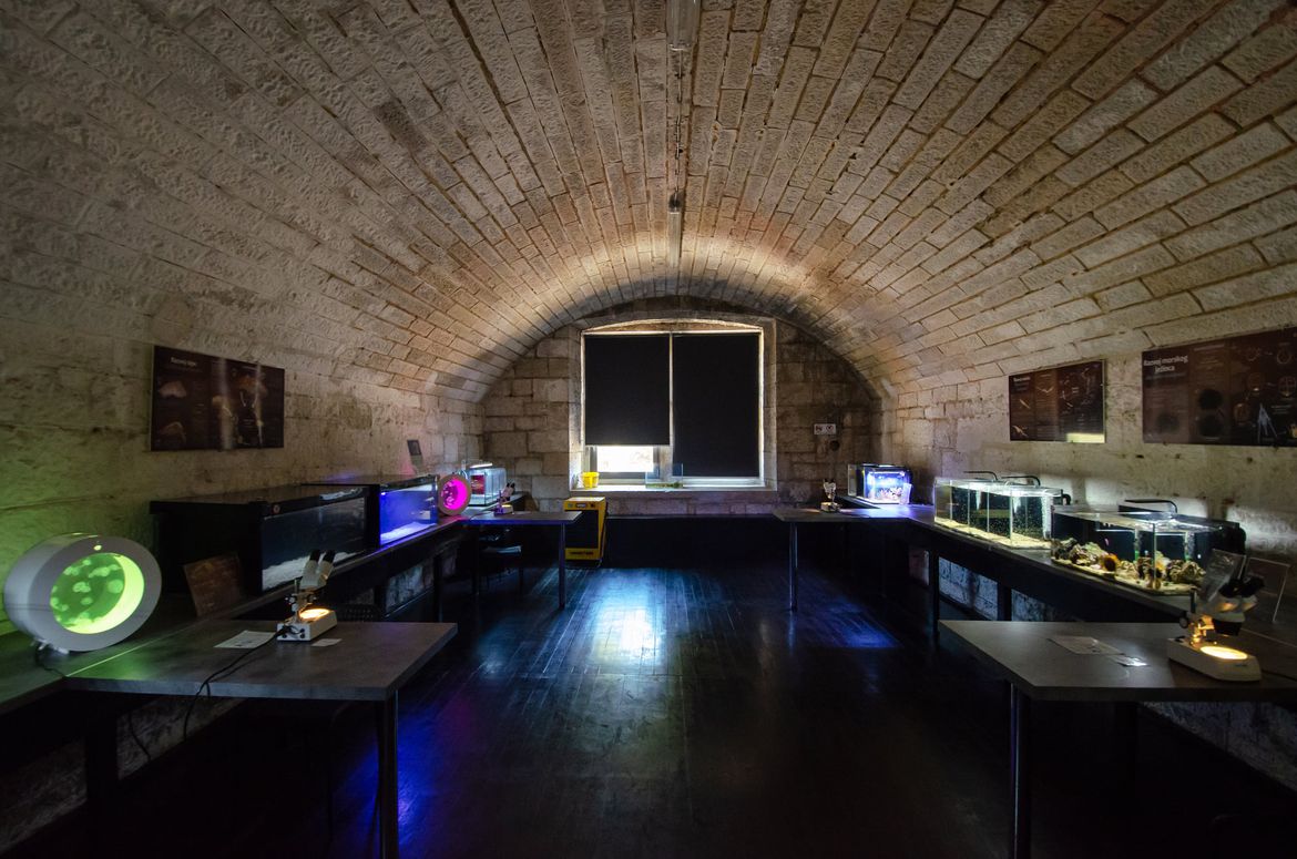 Najveći akvarij u Hrvatskoj – Aquarium Pula, dobio certifikat održivosti Friend of the Sea