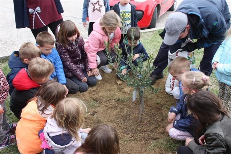 Sadnjom maslina rapska policija obilježila Dan planeta Zemlje