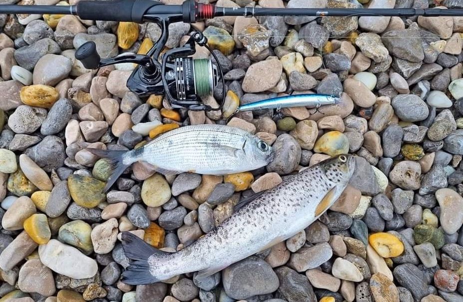 Kod Opatije ulovljena morska pastrva – Znanstvenici još ne znaju porijeklo ove ribe