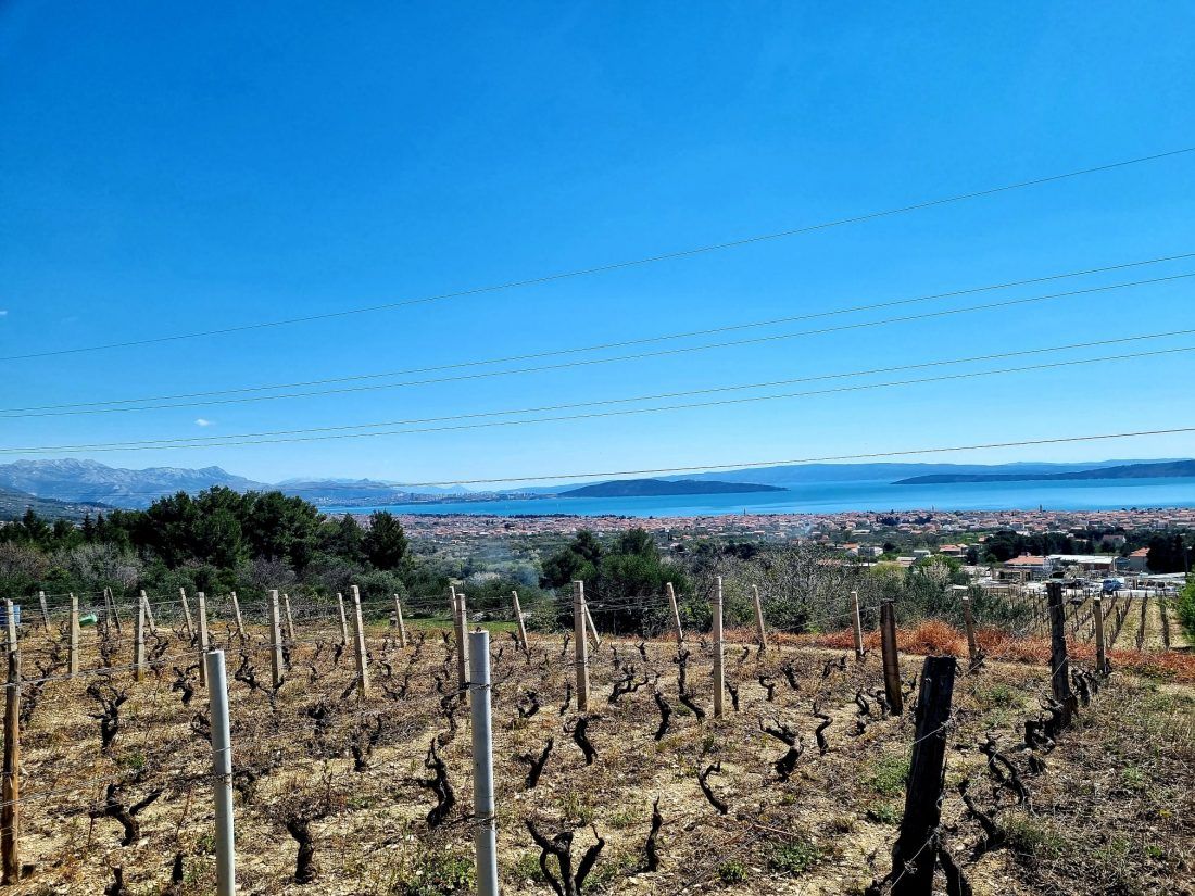 Splitsko-dalmatinska županija prijavila 11 kandidata za nagradu Suncokret ruralnog turizma Hrvatske