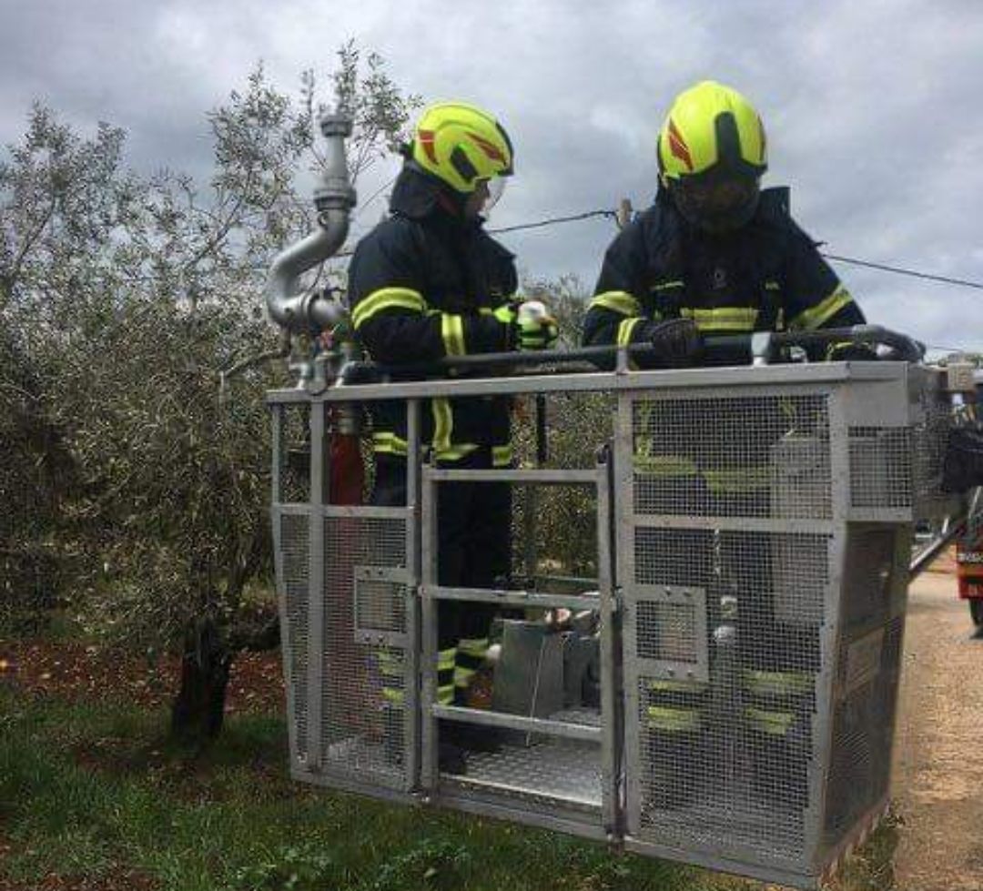 FOTO Akcija spašavanja galeba koji “nije dobro sletio”