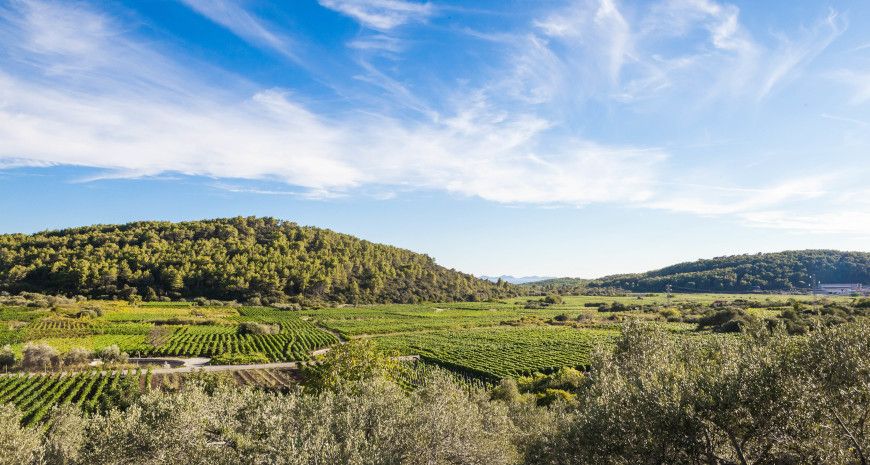 Proizvođači s Korčule pozvani na radionicu o eko certificiranju