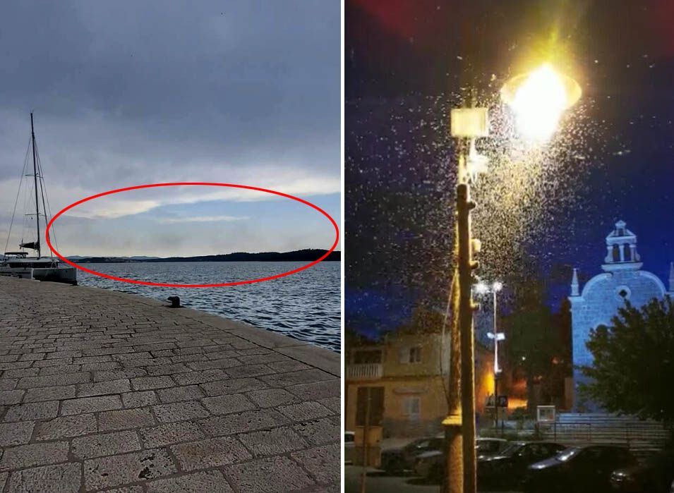 GRAĐANI UZNEMIRENI Rojevi kukaca “napali” Dalmaciju