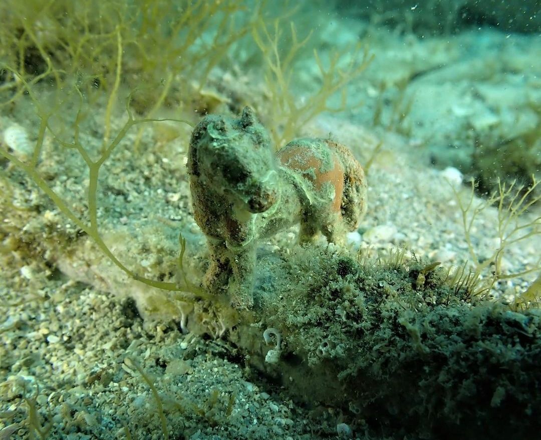 FOTO Bijeg od svakodnevice uz morski svijet i njegovo šarenilo