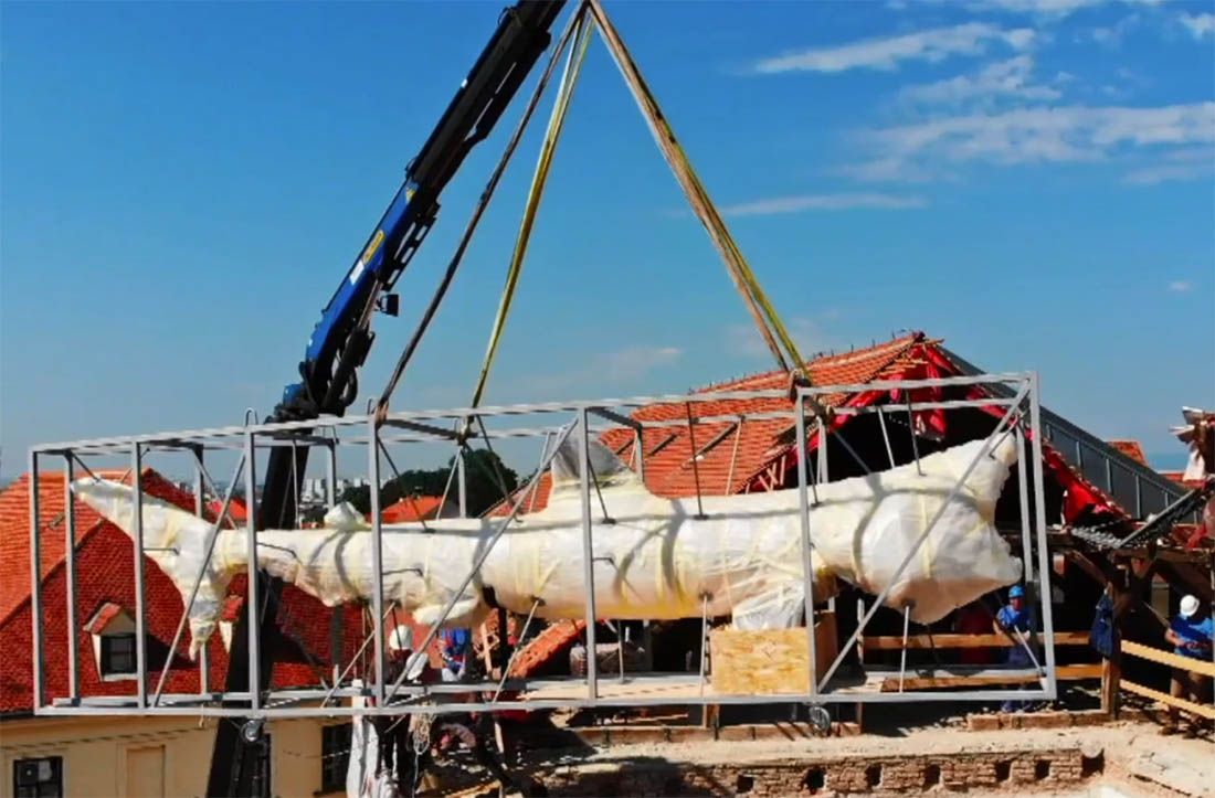 Gorostasna psina preseljena na sigurnu lokaciju u Zagrebu