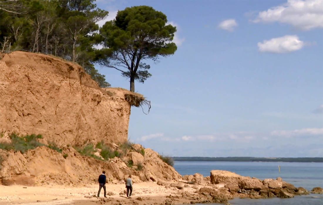 Bor s Vrgade je svjetski fenomen – Prkosi svim zakonima fizike!