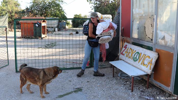 Pasji život uz biser Jadrana – životinje odveli sanitarni radnici