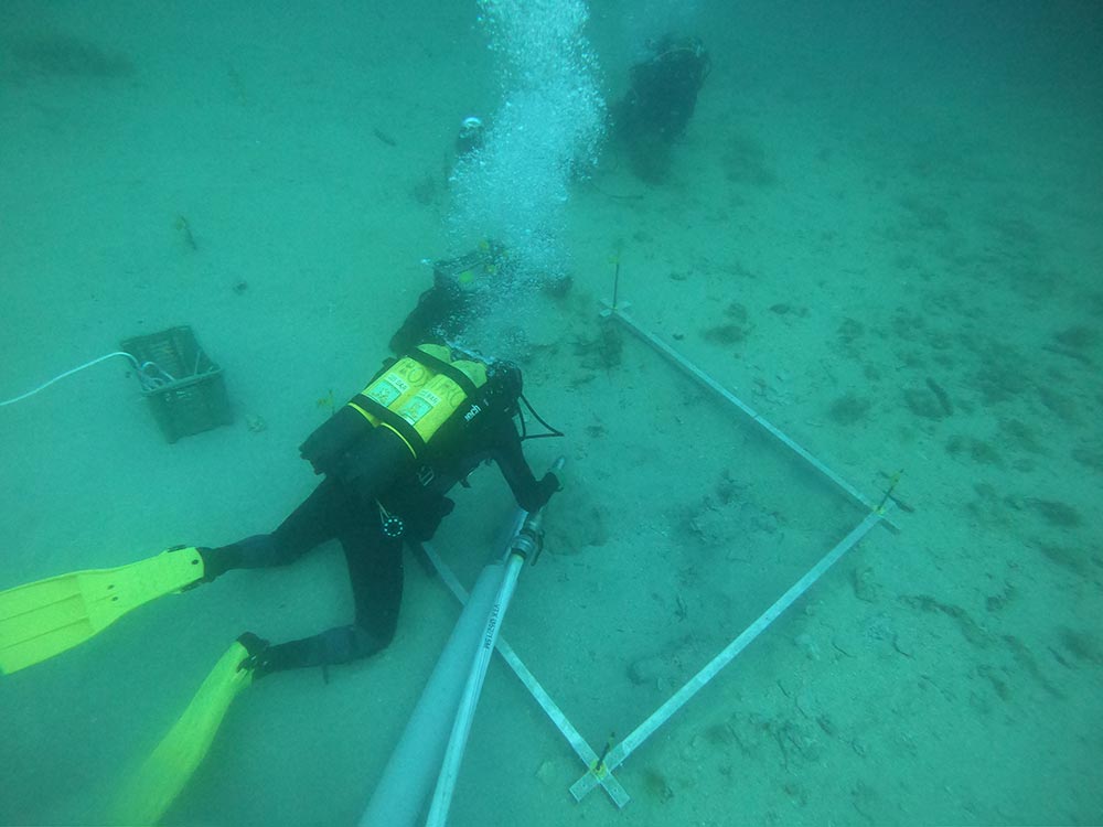 Započela istraživanja brodoloma kod Premanture