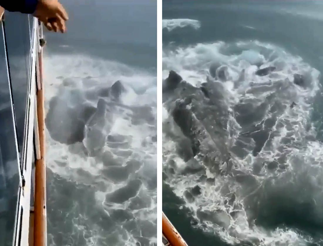 VIDEO: KRUZER UDARIO U SANTU LEDA – Morali prekinuti putovanje