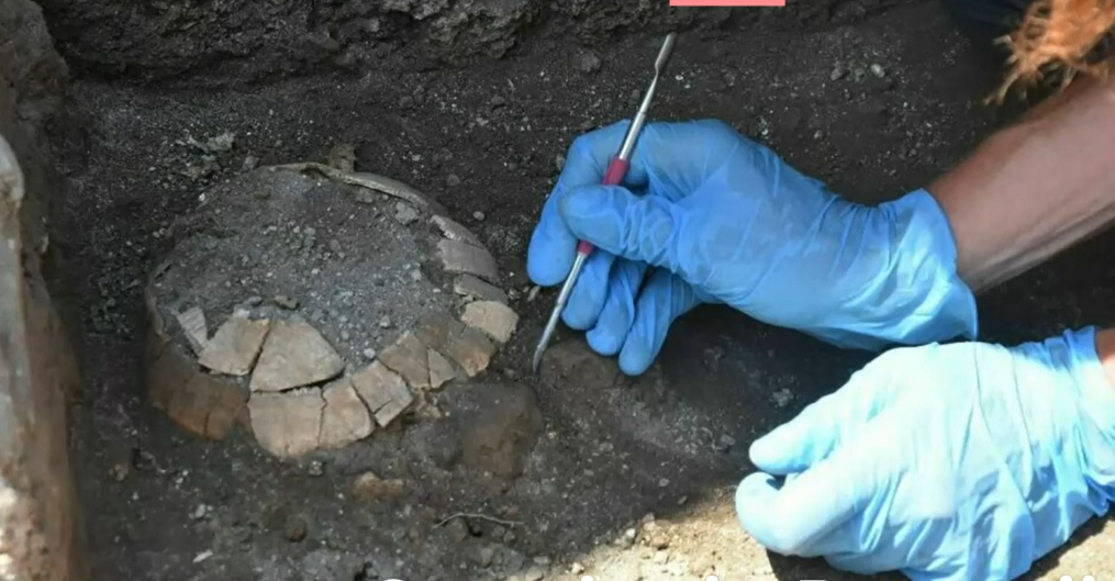 Arheolozi u Pompejima pronašli kornjaču staru gotovo 2000 godina