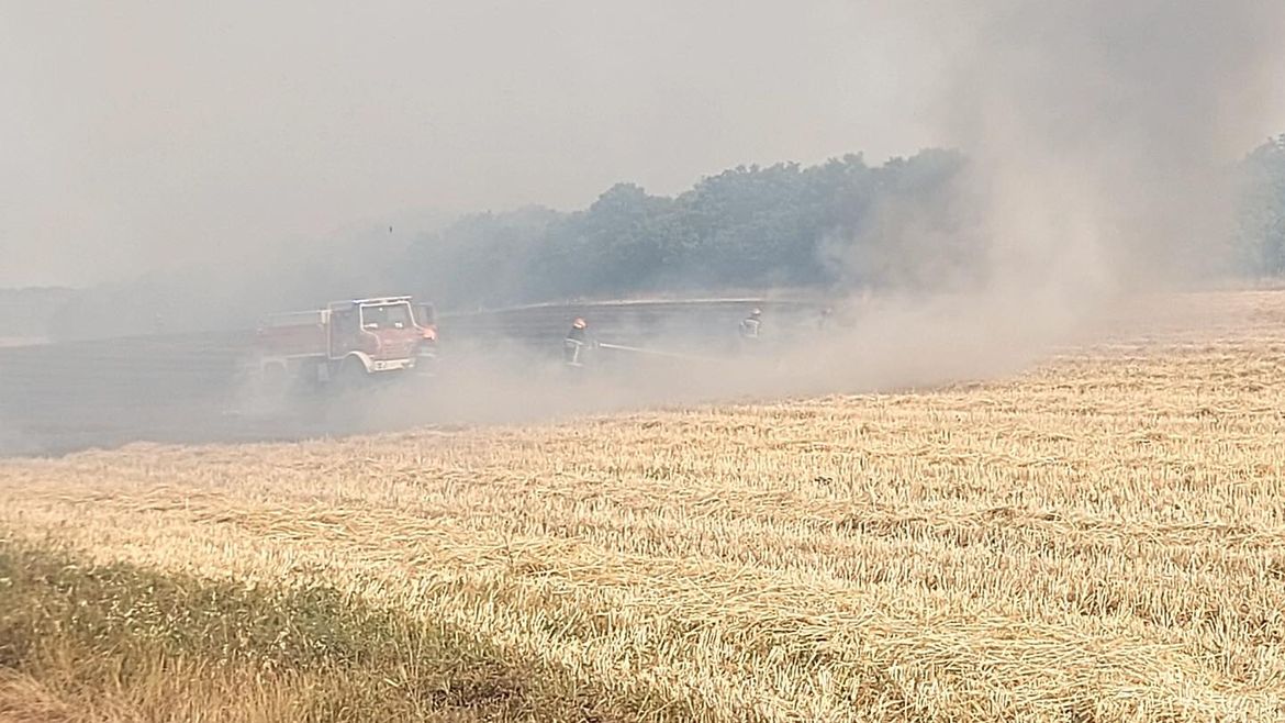 U jučerašnjem požaru u Puli, izgorjelo 20 hektara žita, niskog raslinja i stara kuća