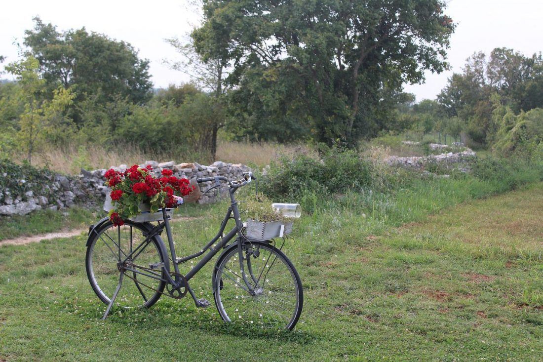 Grad Rovinj raspisao javni poziv za dodjelu parcela za gradske vrtove