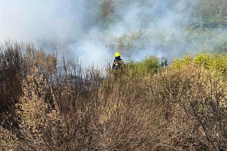 Požar u Istri pod kontrolom gasitelja – Na intervenciji sudjeluje ukupno 81 vatrogasac s 28 vatrogasnih vozila