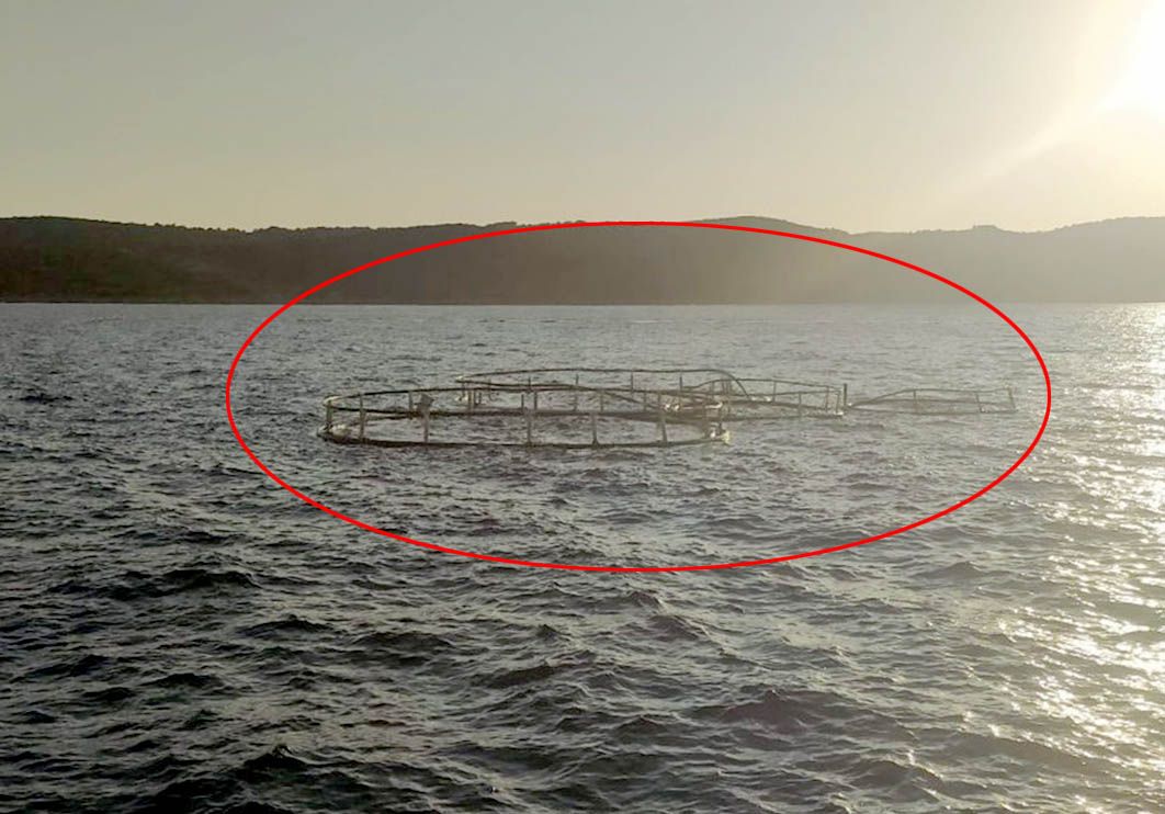 Plovput uklonio kavez za uzgoj ribe s plovnog puta